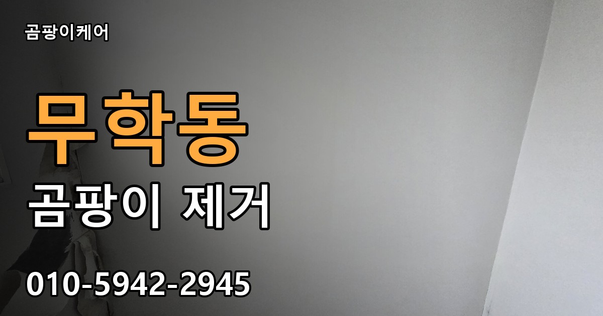 무학동 곰팡이 제거 - 곰팡이케어 실제 시공 현장