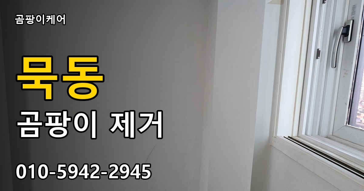 묵동 곰팡이 제거 - 곰팡이케어 실제 시공 현장