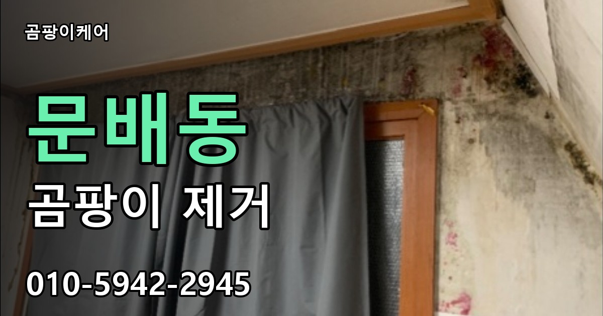 문배동 곰팡이 제거 - 곰팡이케어 실제 시공 현장