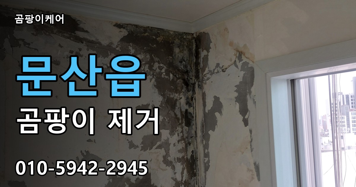 문산읍 곰팡이 제거 - 곰팡이케어 실제 시공 현장