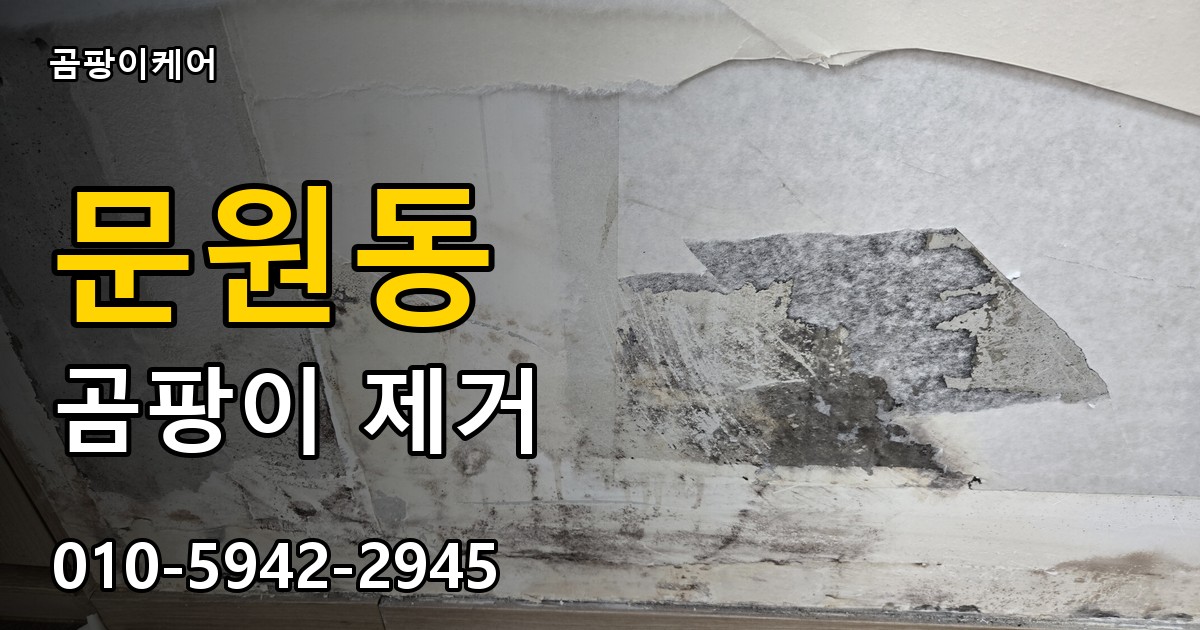 문원동 곰팡이 제거 - 곰팡이케어 실제 시공 현장