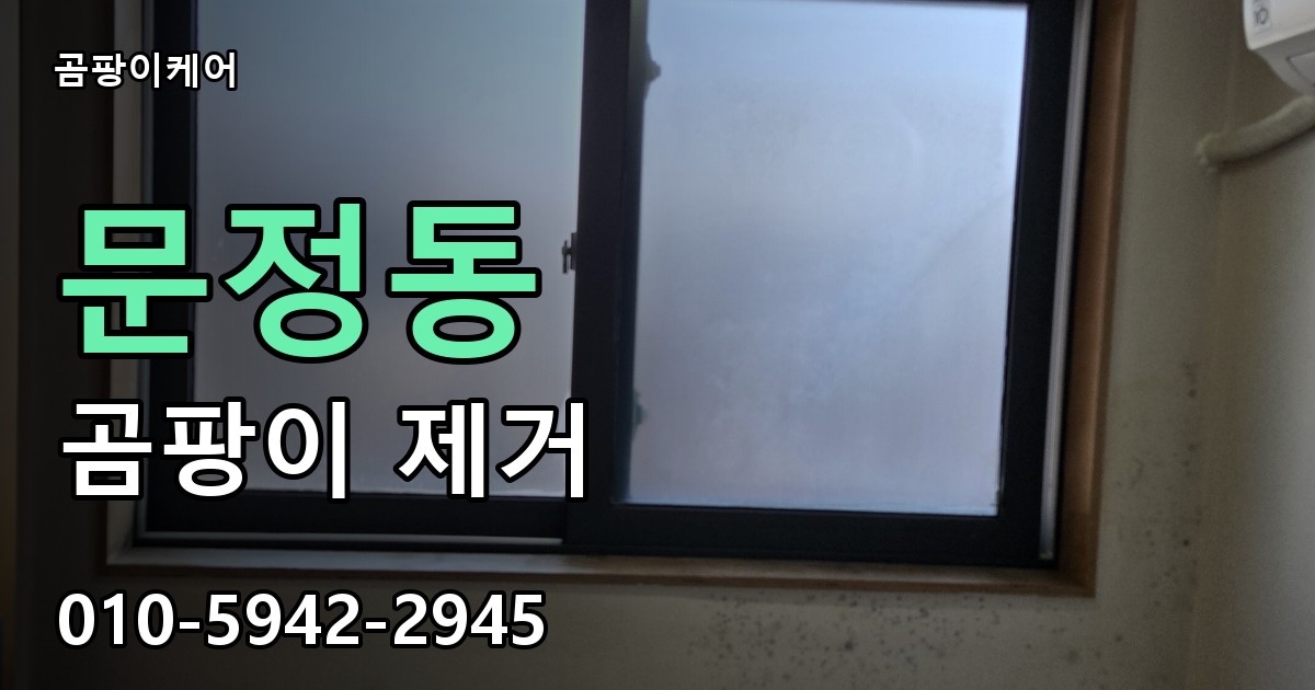 문정동 곰팡이 제거 - 곰팡이케어 실제 시공 현장