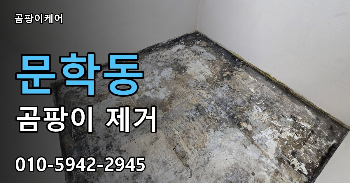 문학동 곰팡이 제거 - 곰팡이케어 실제 시공 현장