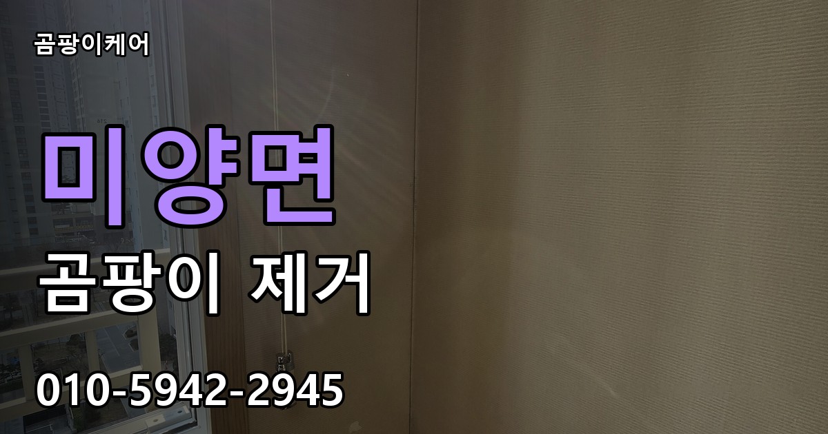 미양면 곰팡이 제거 - 곰팡이케어 실제 시공 현장