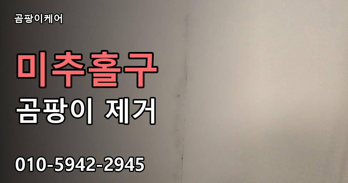 미추홀구 곰팡이 제거 - 곰팡이케어 실제 시공 현장