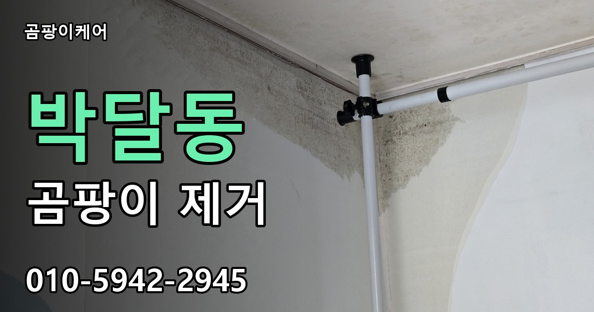박달동 곰팡이 제거 - 곰팡이케어 실제 시공 현장
