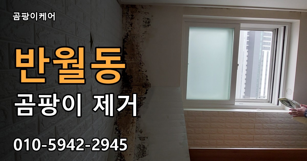 반월동 곰팡이 제거 - 곰팡이케어 실제 시공 현장