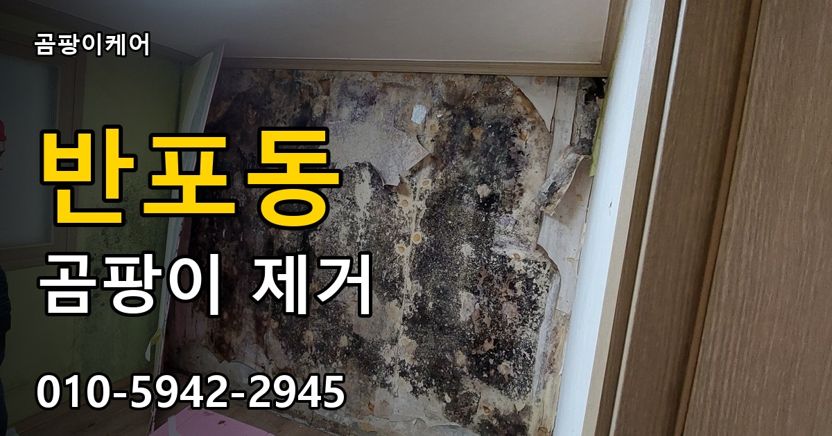 반포동 곰팡이 제거 - 곰팡이케어 실제 시공 현장