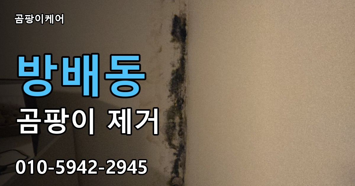 방배동 곰팡이 제거 - 곰팡이케어 실제 시공 현장