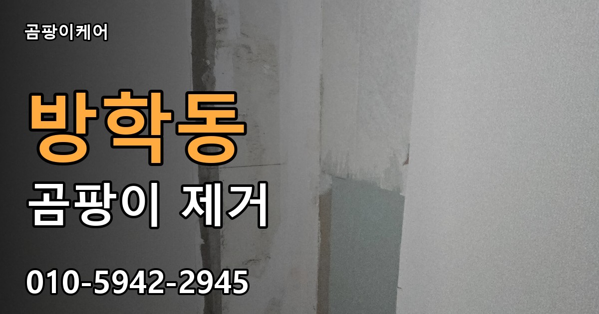 방학동 곰팡이 제거 - 곰팡이케어 실제 시공 현장