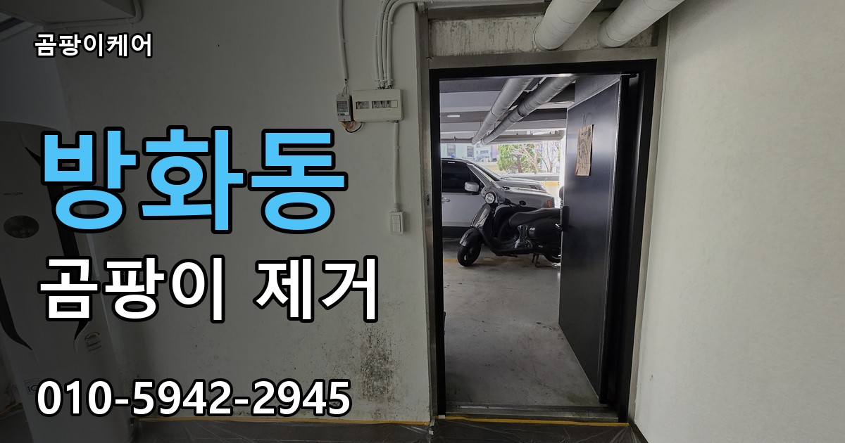 방화동 곰팡이 제거 - 곰팡이케어 실제 시공 현장