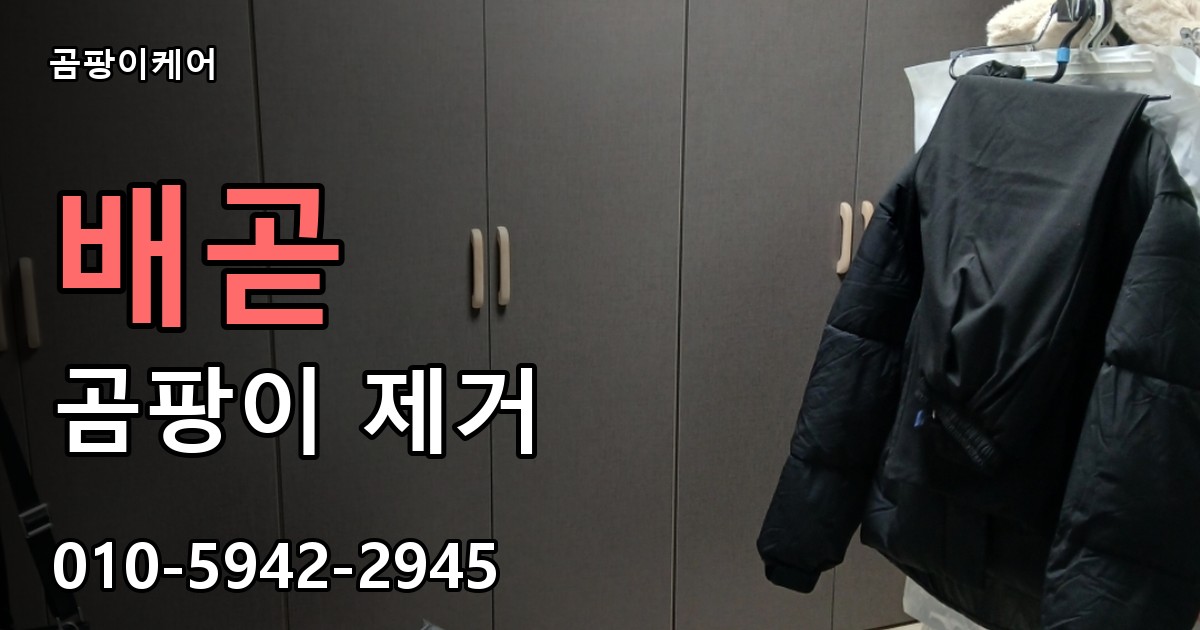 배곧 곰팡이 제거 - 곰팡이케어 실제 시공 현장