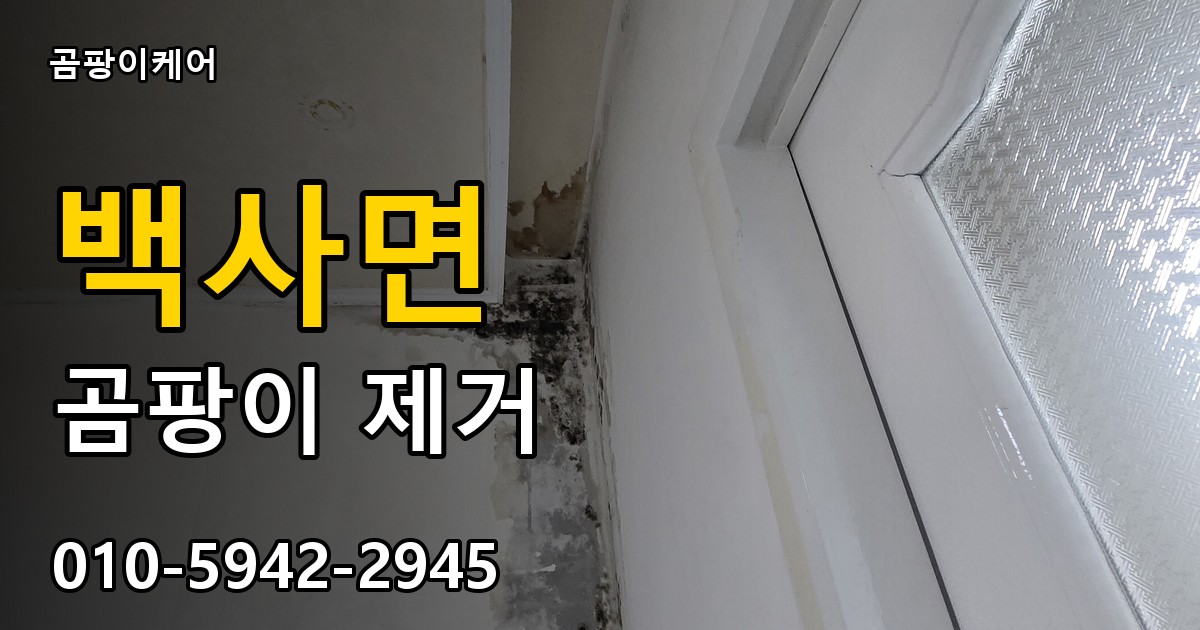 백사면 곰팡이 제거 - 곰팡이케어 실제 시공 현장