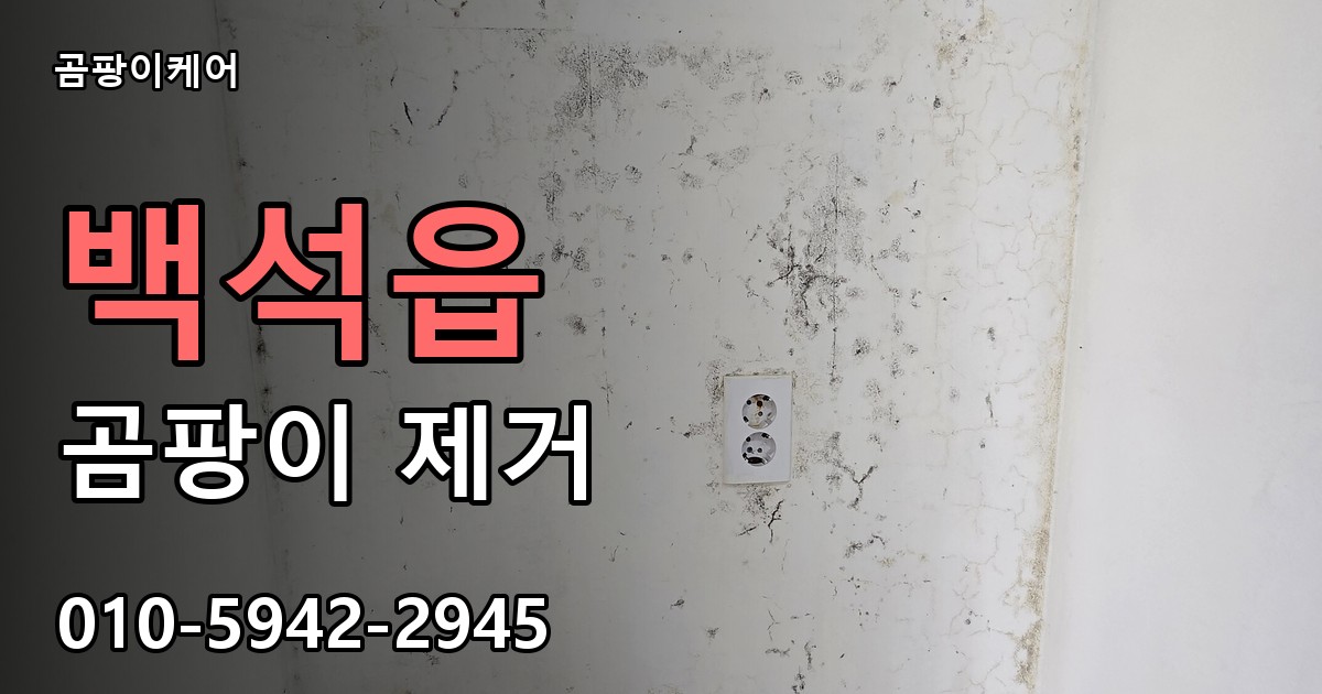 백석읍 곰팡이 제거 - 곰팡이케어 실제 시공 현장