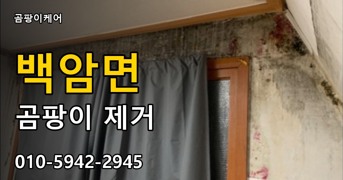 백암면 곰팡이 제거 - 곰팡이케어 실제 시공 현장