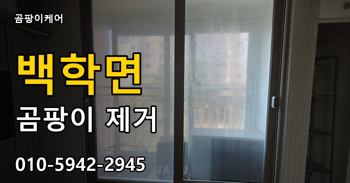 백학면 곰팡이 제거 - 곰팡이케어 실제 시공 현장