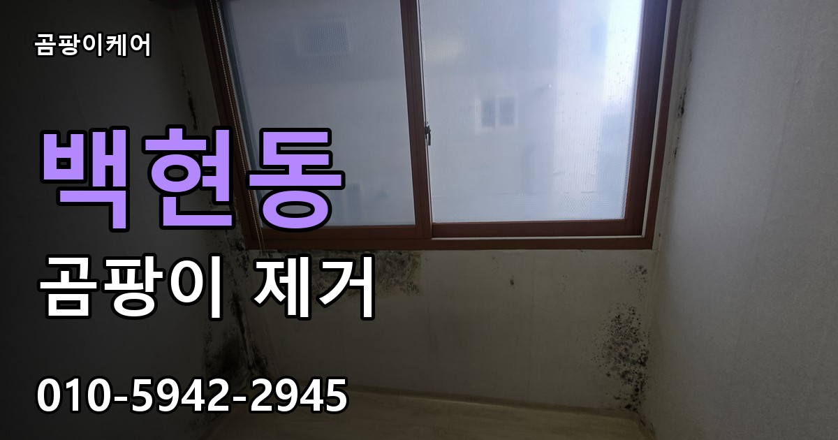 백현동 곰팡이 제거 - 곰팡이케어 실제 시공 현장