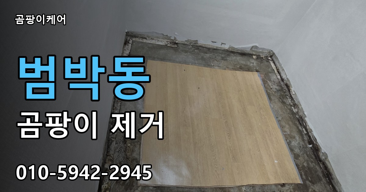 범박동 곰팡이 제거 - 곰팡이케어 실제 시공 현장