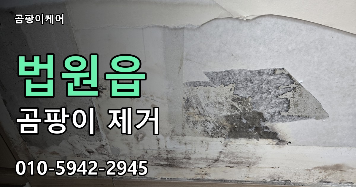 법원읍 곰팡이 제거 - 곰팡이케어 실제 시공 현장