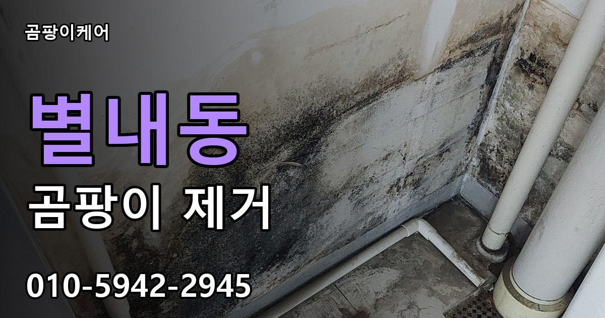 별내동 곰팡이 제거 - 곰팡이케어 실제 시공 현장