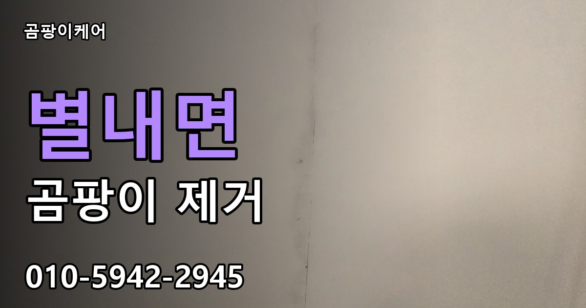 별내면 곰팡이 제거 - 곰팡이케어 실제 시공 현장