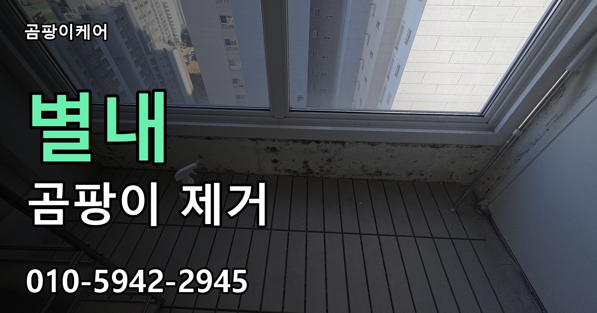 별내 곰팡이 제거 - 곰팡이케어 실제 시공 현장