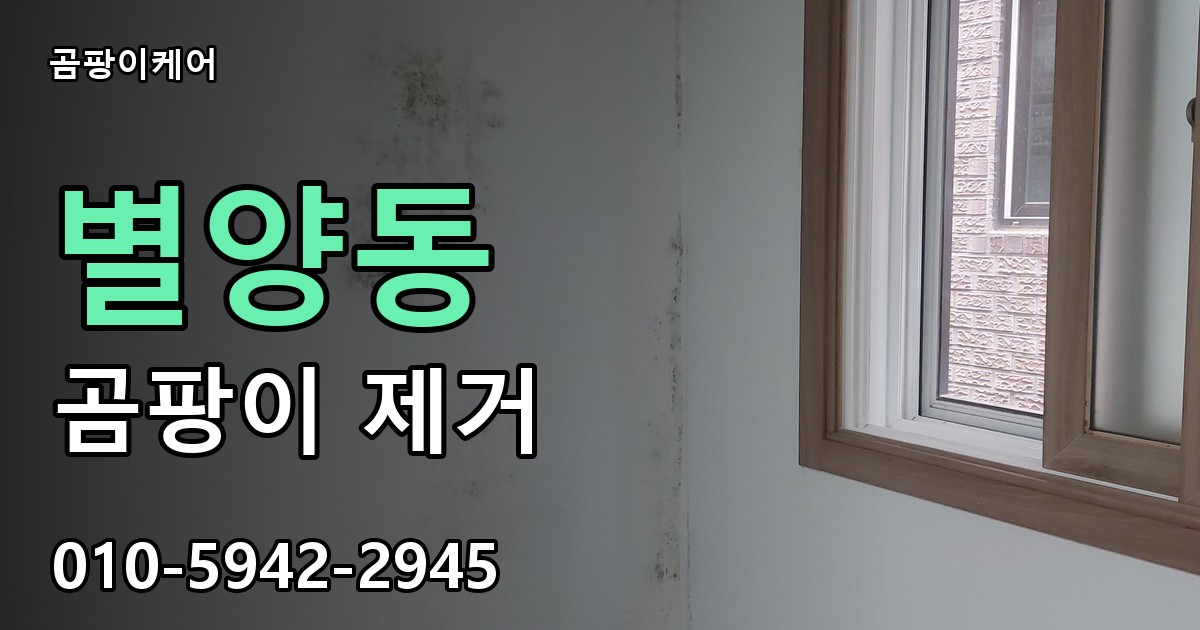 별양동 곰팡이 제거 - 곰팡이케어 실제 시공 현장