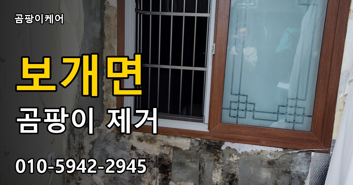 보개면 곰팡이 제거 - 곰팡이케어 실제 시공 현장