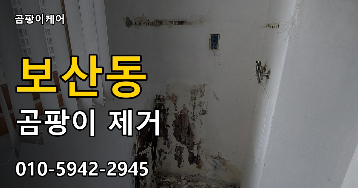 보산동 곰팡이 제거 - 곰팡이케어 실제 시공 현장