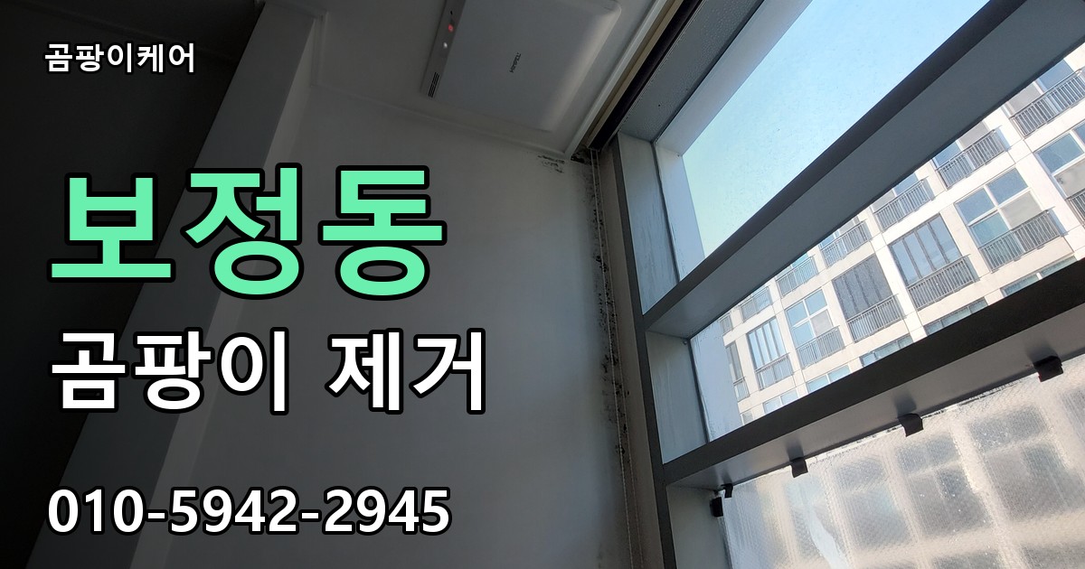 보정동 곰팡이 제거 - 곰팡이케어 실제 시공 현장