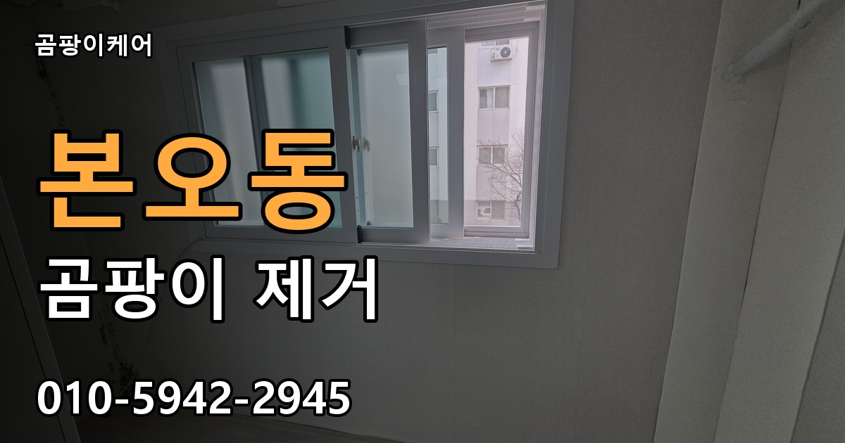 본오동 곰팡이 제거 - 곰팡이케어 실제 시공 현장