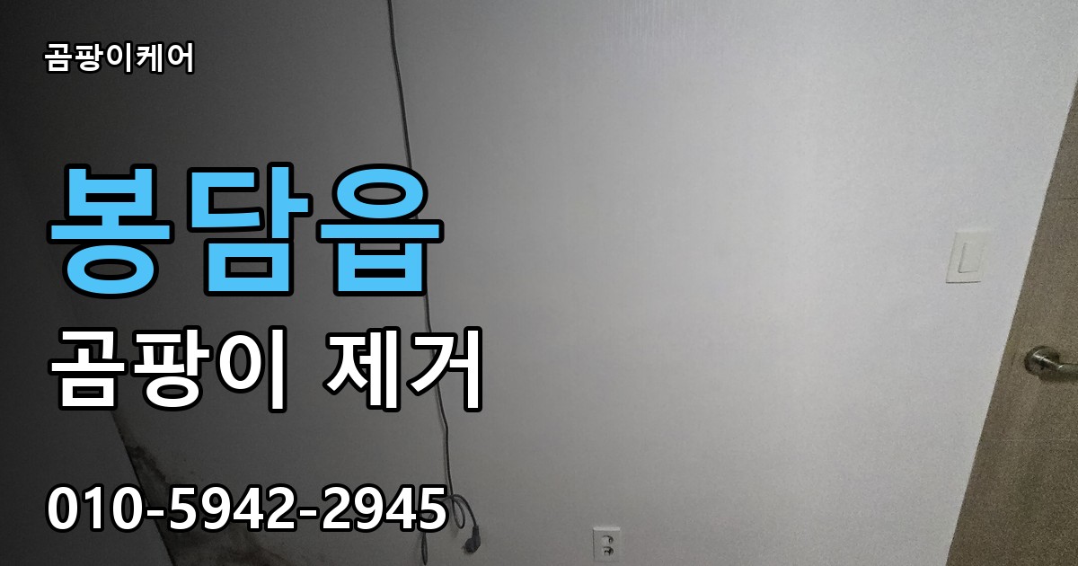 봉담읍 곰팡이 제거 - 곰팡이케어 실제 시공 현장