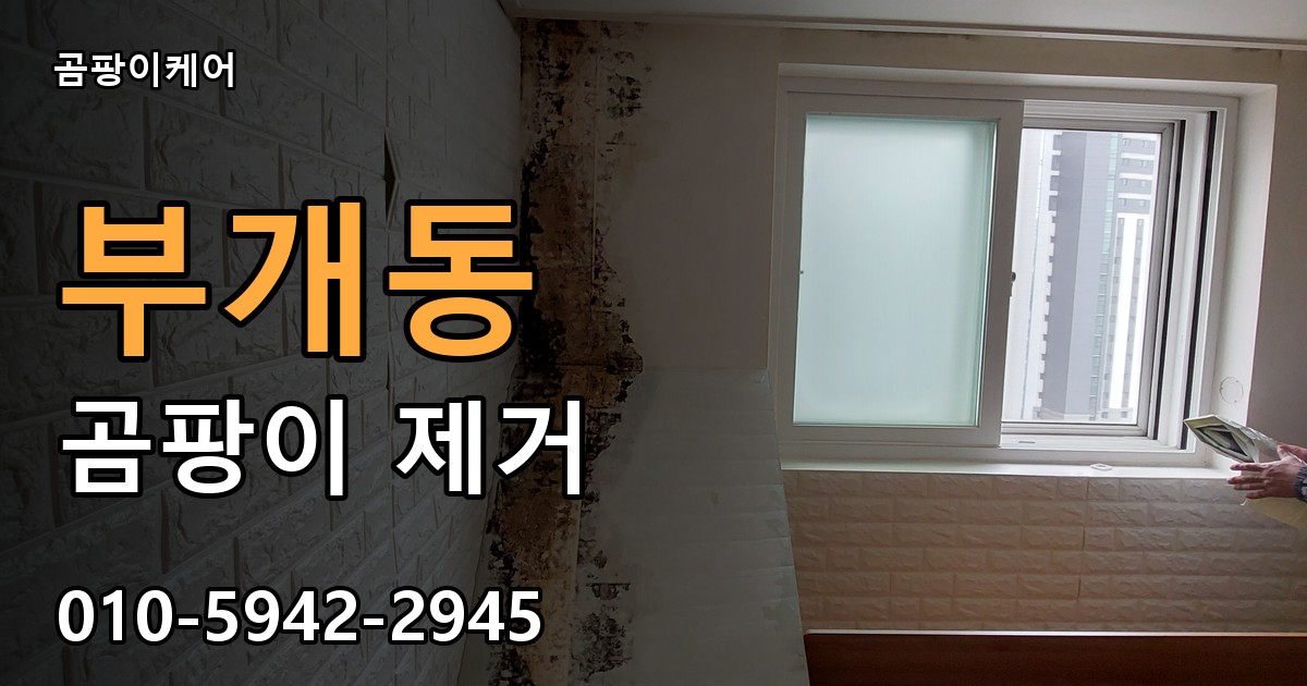 부개동 곰팡이 제거 - 곰팡이케어 실제 시공 현장