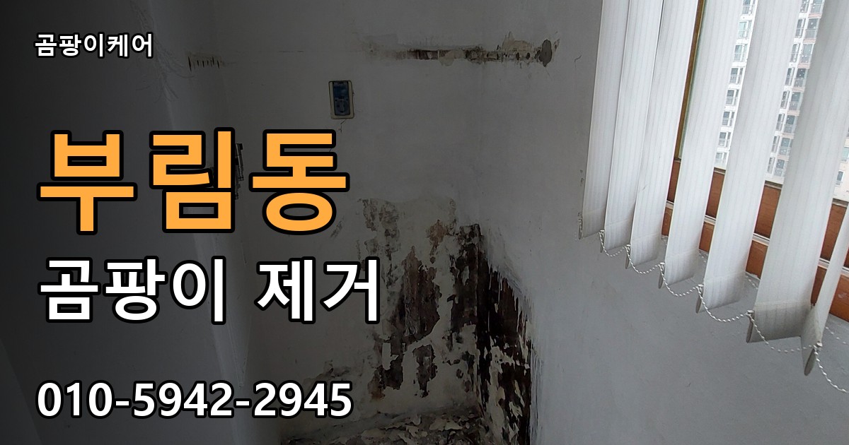 부림동 곰팡이 제거 - 곰팡이케어 실제 시공 현장