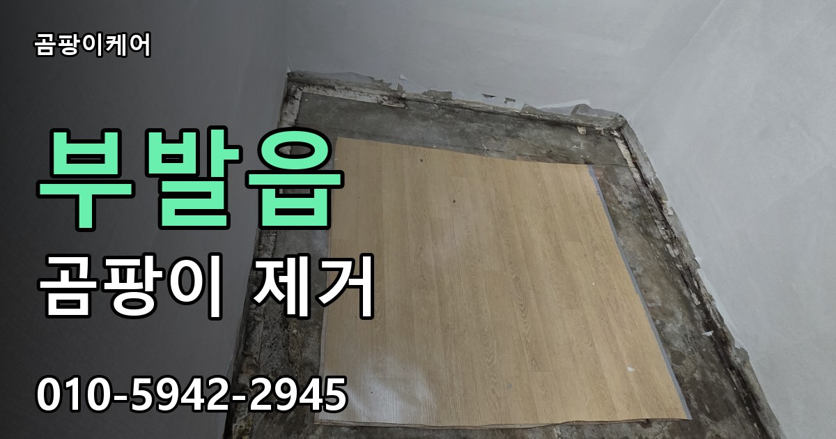 부발읍 곰팡이 제거 - 곰팡이케어 실제 시공 현장