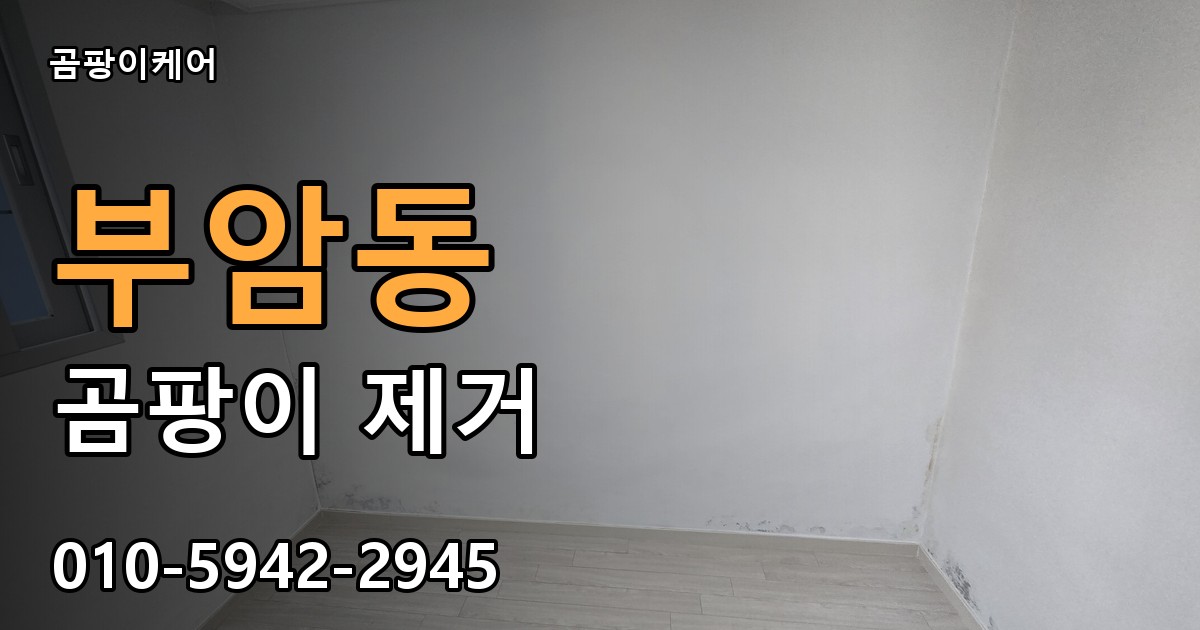 부암동 곰팡이 제거 - 곰팡이케어 실제 시공 현장