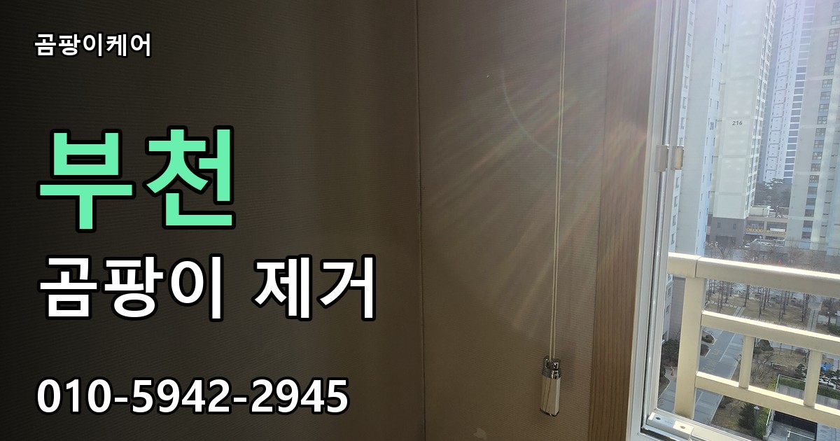 부천 곰팡이 제거 - 곰팡이케어 실제 시공 현장