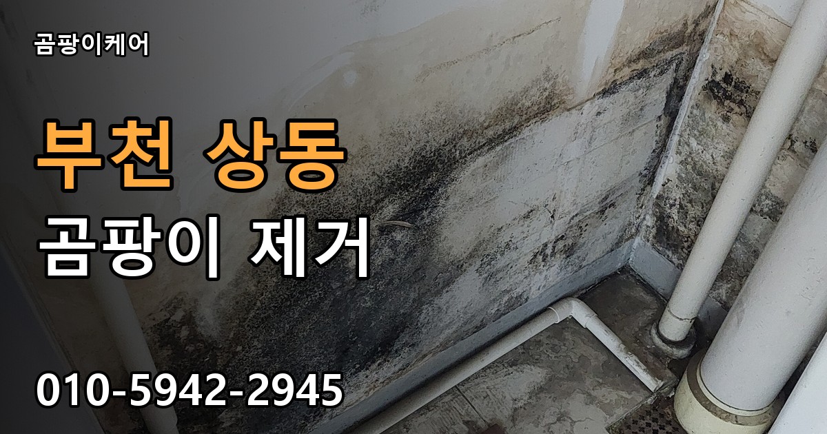 부천 상동 곰팡이 제거 - 곰팡이케어 실제 시공 현장