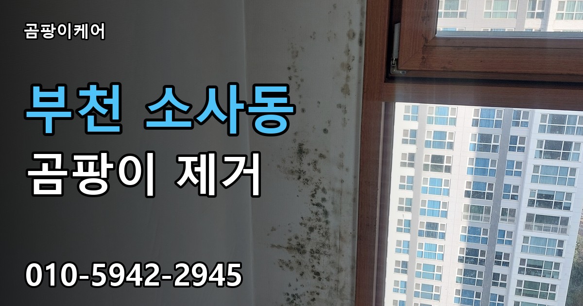 부천 소사동 곰팡이 제거 - 곰팡이케어 실제 시공 현장