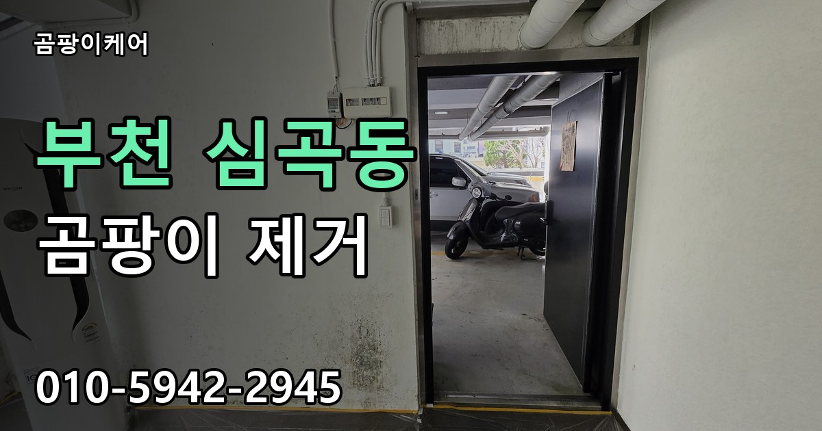 부천 심곡동 곰팡이 제거 - 곰팡이케어 실제 시공 현장