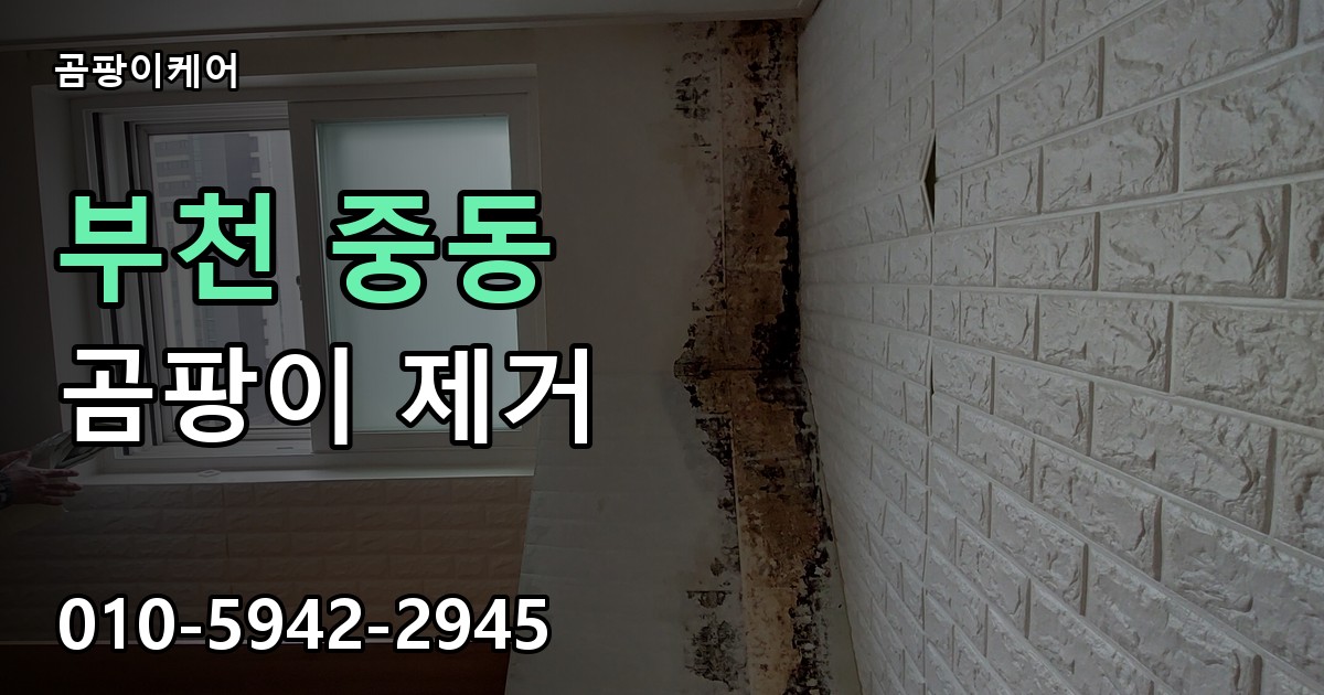 부천 중동 곰팡이 제거 - 곰팡이케어 실제 시공 현장