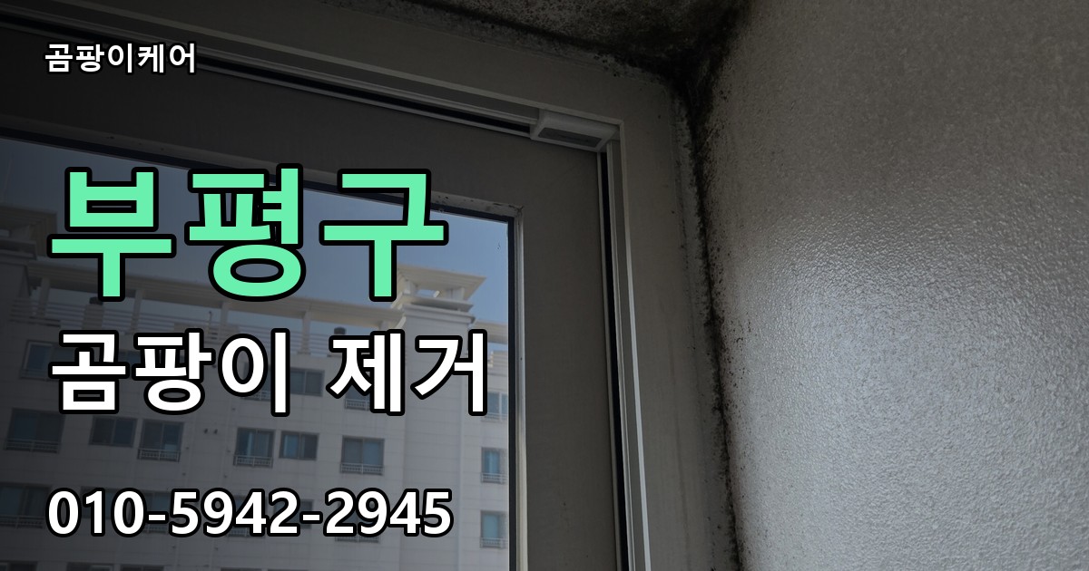 부평구 곰팡이 제거 - 곰팡이케어 실제 시공 현장