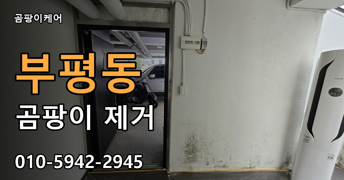부평동 곰팡이 제거 - 곰팡이케어 실제 시공 현장