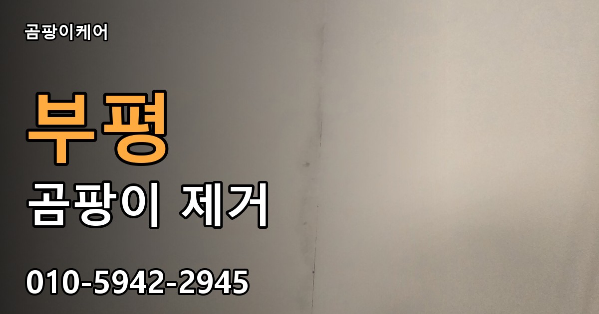 부평 곰팡이 제거 - 곰팡이케어 실제 시공 현장
