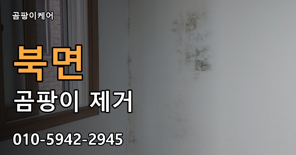 북면 곰팡이 제거 - 곰팡이케어 실제 시공 현장