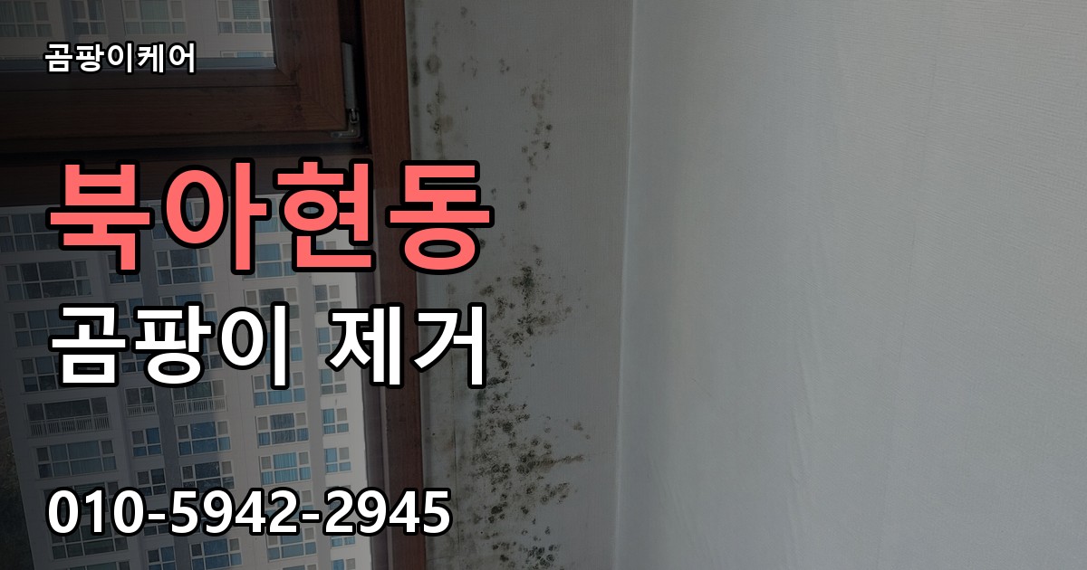 북아현동 곰팡이 제거 - 곰팡이케어 실제 시공 현장