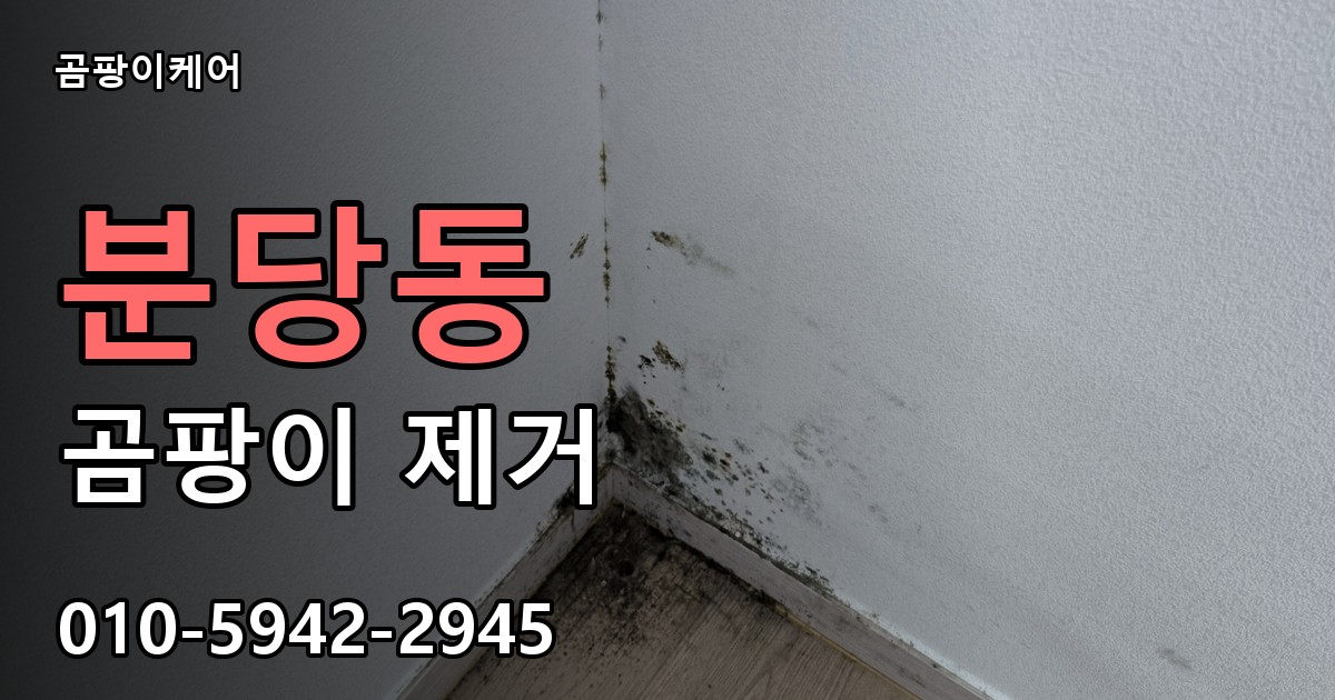분당동 곰팡이 제거 - 곰팡이케어 실제 시공 현장