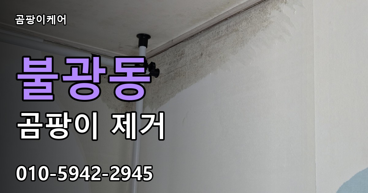 불광동 곰팡이 제거 - 곰팡이케어 실제 시공 현장