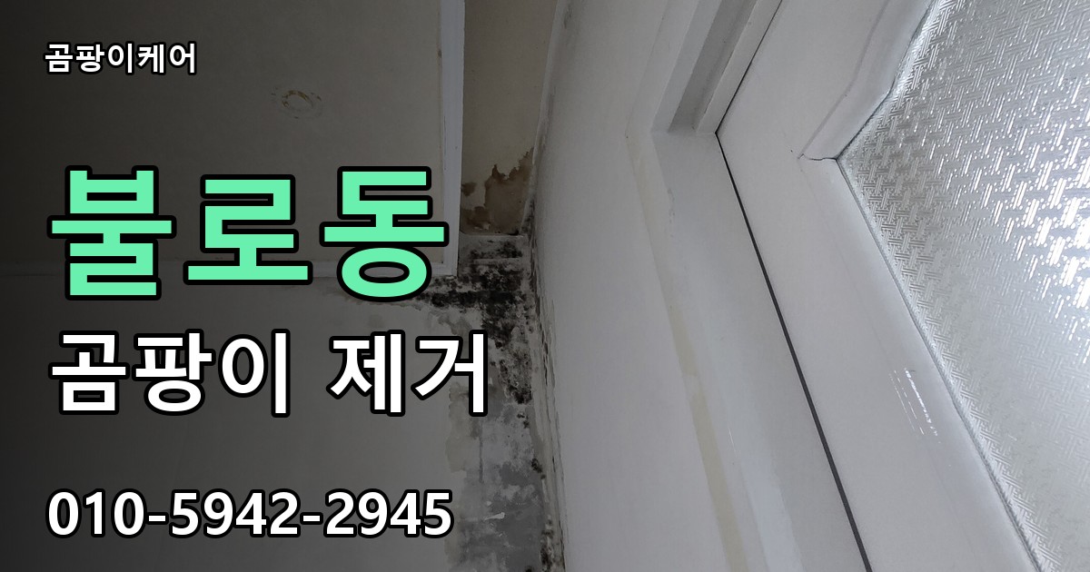 불로동 곰팡이 제거 - 곰팡이케어 실제 시공 현장