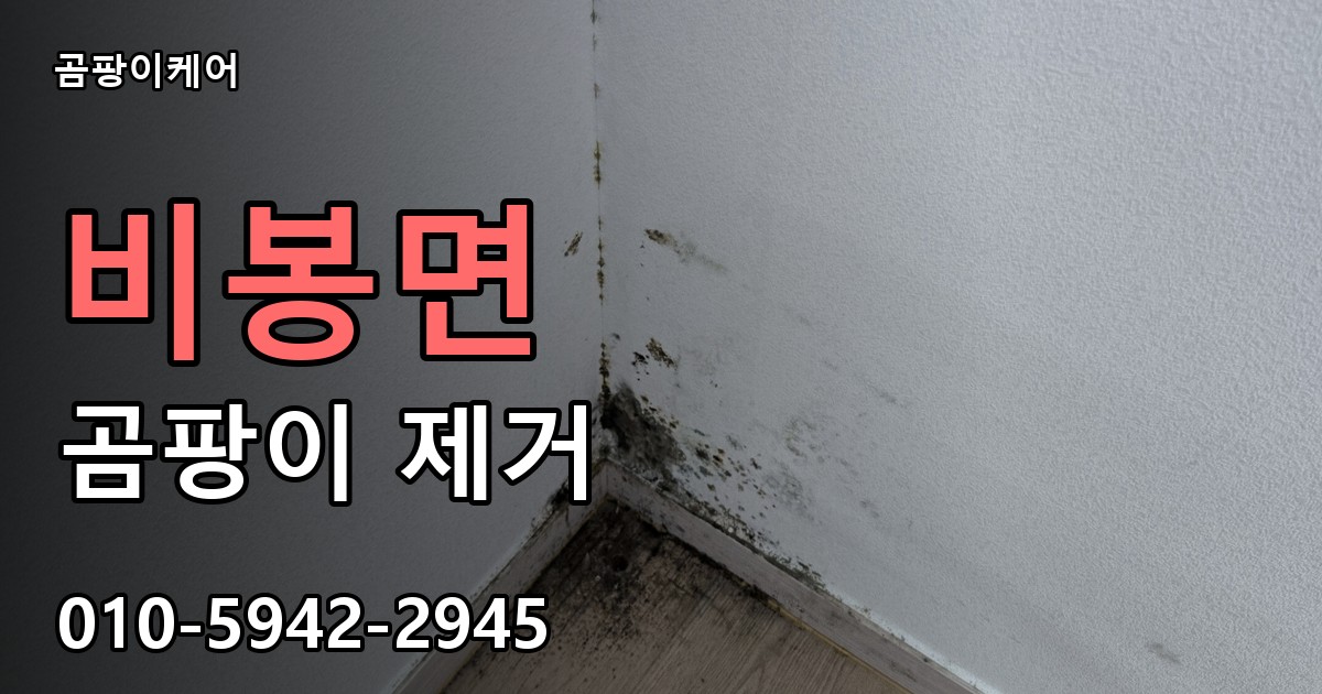 비봉면 곰팡이 제거 - 곰팡이케어 실제 시공 현장